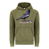 Vintage Olive Lark Bunting Colorado State Bird Vintage Hoodie - RanaPortraitStore