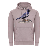 Vintage Zinc Lark Bunting Colorado State Bird Vintage Hoodie - RanaPortraitStore