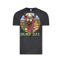 Hump Day Camel Vintage Tee | Teevron