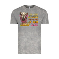 Cloud Rock guess what day it is hump day camel Vintage Tee - BarkalooDesign