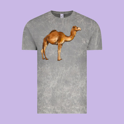 Camel Vintage Tee Designed By Barkaloodesign