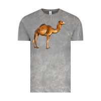 Cloud Rock camel Vintage Tee - BarkalooDesign
