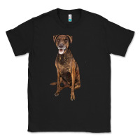 Black plott hound Classic Tee - LillyAllenDesigns