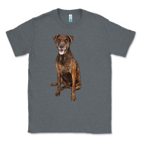 Charcoal Heather plott hound Classic Tee - LillyAllenDesigns