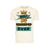 Vintage Arctic world's best grandpop ever Vintage Tee - Jasminsmagicworld
