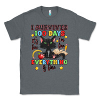 Charcoal Heather i survived 100 days it's fine i'm fine Classic Tee - Artiststas
