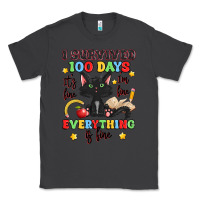 Smoke i survived 100 days it's fine i'm fine Classic Tee - Artiststas