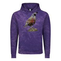 Cloud Purple California Quail Bird Vintage Hoodie - RanaPortraitStore