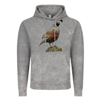 Cloud Rock California Quail Bird Vintage Hoodie - RanaPortraitStore