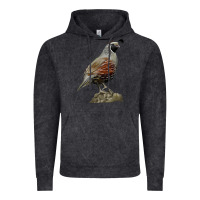Vintage Black California Quail Bird Vintage Hoodie - RanaPortraitStore