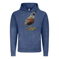 Vintage Denim California Quail Bird Vintage Hoodie - RanaPortraitStore