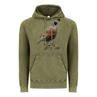 Vintage Olive California Quail Bird Vintage Hoodie - RanaPortraitStore