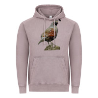Vintage Zinc California Quail Bird Vintage Hoodie - RanaPortraitStore