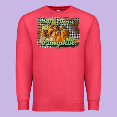Hey There Pumpkin Premium Sweatshirt Designed By Bundleandbundleshop