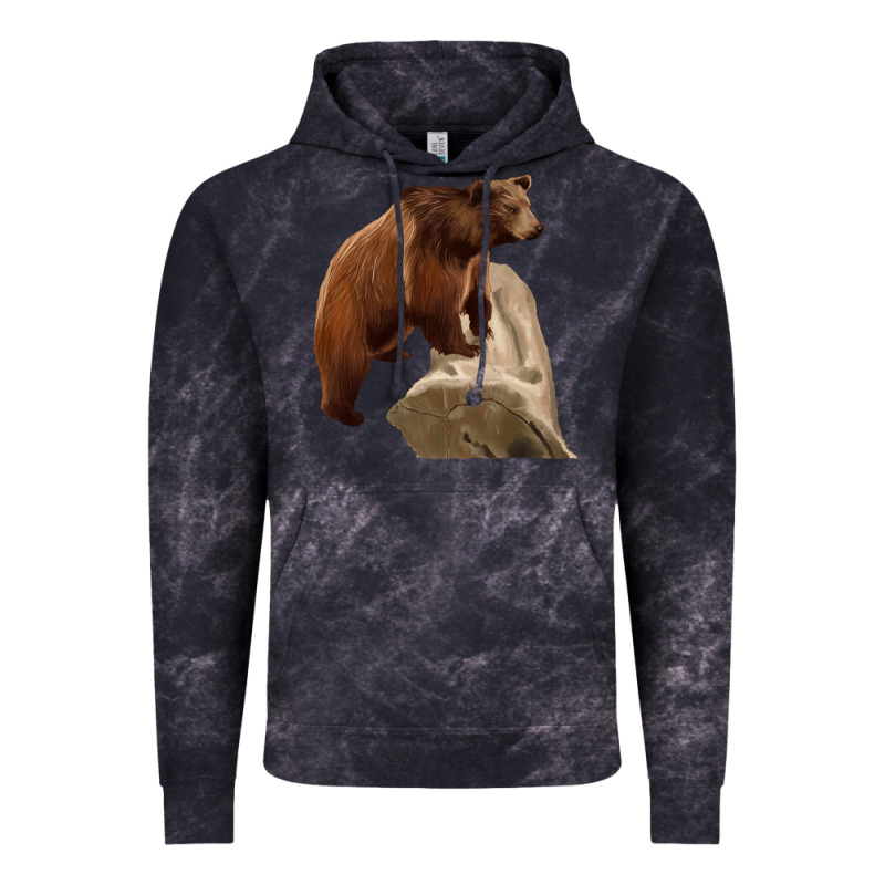 California Grizzly Bear Vintage Hoodie by RanaPortraitStore | Teevron
