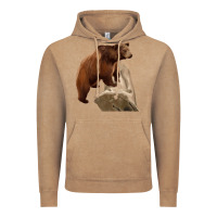 Vintage Coffee California Grizzly Bear Vintage Hoodie - RanaPortraitStore