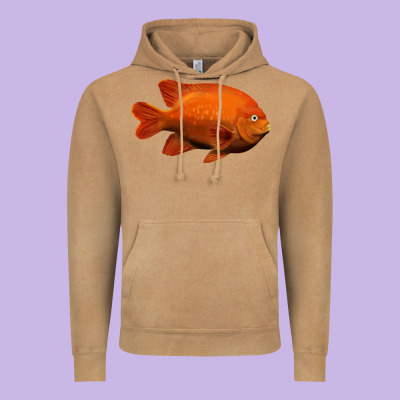 California Garibaldi Fish Vintage Hoodie Designed By Ranaportraitstore