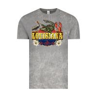 Cloud Rock louisiana state Vintage Tee - BarkalooDesign