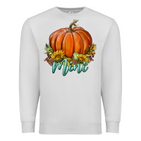 Dove Grey pumpkin mini Premium Sweatshirt - BundleAndBundleShop
