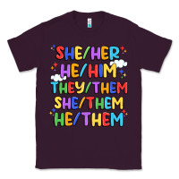 Plum pride pronouns Classic Tee - Artiststas