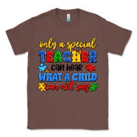 Chestnut only a special teacher can hear what a child can n Classic Tee - Artiststas