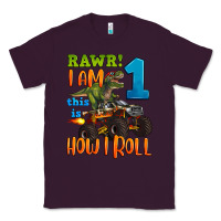 Plum rawr i am one this is how i roll Classic Tee - Artiststas