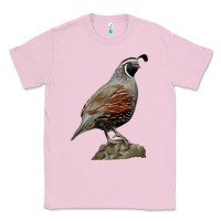 Bubblegum Pink California Quail Bird Classic Tee - RanaPortraitStore