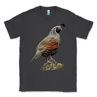 Smoke California Quail Bird Classic Tee - RanaPortraitStore