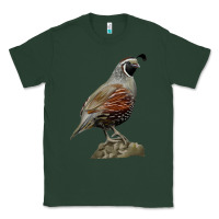 Sports Green California Quail Bird Classic Tee - RanaPortraitStore
