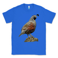 True Royal California Quail Bird Classic Tee - RanaPortraitStore