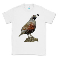 White California Quail Bird Classic Tee - RanaPortraitStore