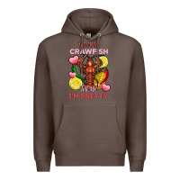 Coffee feed me crawfish tell me im pretty Premium Hoodie - FaDigitalArtStudio