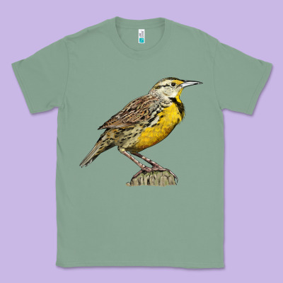 Western Meadowlark Classic Tee Designed By Lillyallendesigns