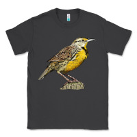 Smoke Western Meadowlark Classic Tee - LillyAllenDesigns