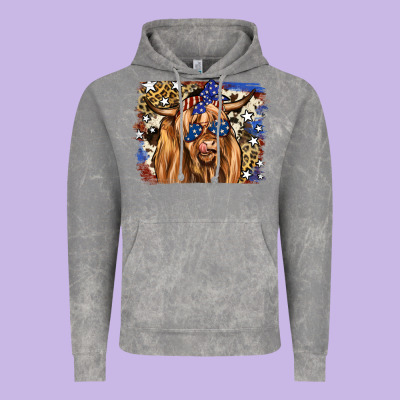 4th Of July Highland Cattle Vintage Hoodie Designed By Ranaportraitstore