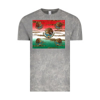 Cloud Rock Mexican Flag Vintage Tee - RanaPortraitStore