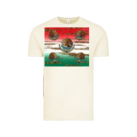 Vintage Arctic Mexican Flag Vintage Tee - RanaPortraitStore