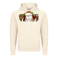 Vintage Artic Christmas teeth dentist Vintage Hoodie - Jasminsmagicworld