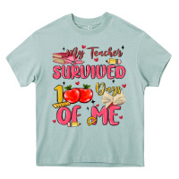 Arona my teacher survived 100 days of me Heavy Core Tee - MaliasSmallBusiness