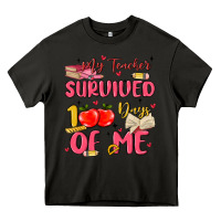 Asphalt my teacher survived 100 days of me Heavy Core Tee - MaliasSmallBusiness