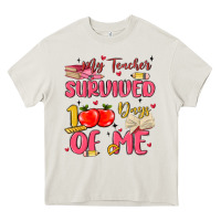 Cream my teacher survived 100 days of me Heavy Core Tee - MaliasSmallBusiness