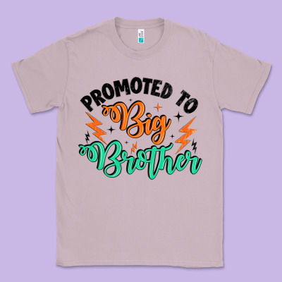 Promoted To Big Brother Classic Tee Designed By Artiststas