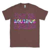 Chestnut aquarius Classic Tee - Artiststas