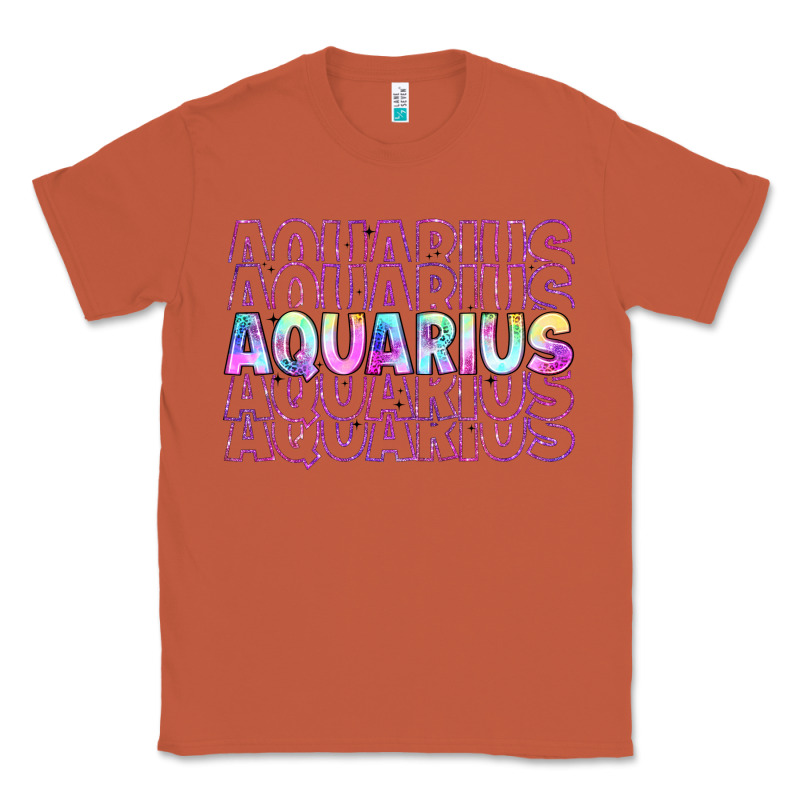 Aquarius Classic Tee by Artiststas | Teevron
