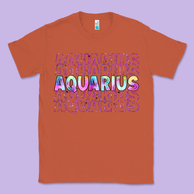 Aquarius Classic Tee Designed By Artiststas