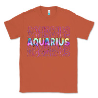 Copper aquarius Classic Tee - Artiststas