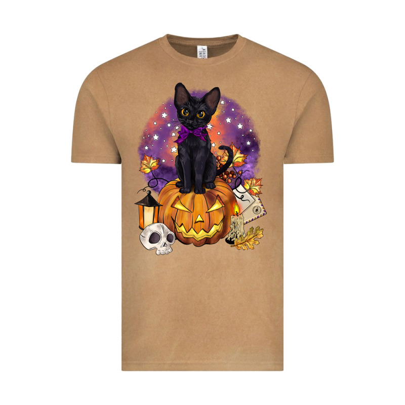 Halloween Black Cat Pumpkin Vintage Tee by BarkalooDesign | Teevron
