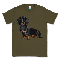 Army Green Dachshund Dog Illustrations Classic Tee - LillyAllenDesigns