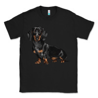 Black Dachshund Dog Illustrations Classic Tee - LillyAllenDesigns