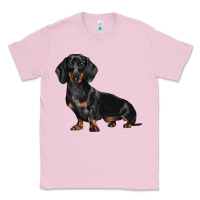 Bubblegum Pink Dachshund Dog Illustrations Classic Tee - LillyAllenDesigns
